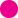 pallino link al trattamento