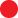 pallino link al trattamento