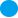 pallino link al trattamento
